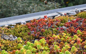 the cost of Rode green roof installation