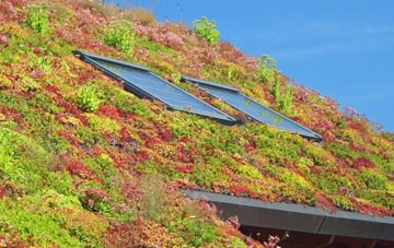 Rode living roof systems